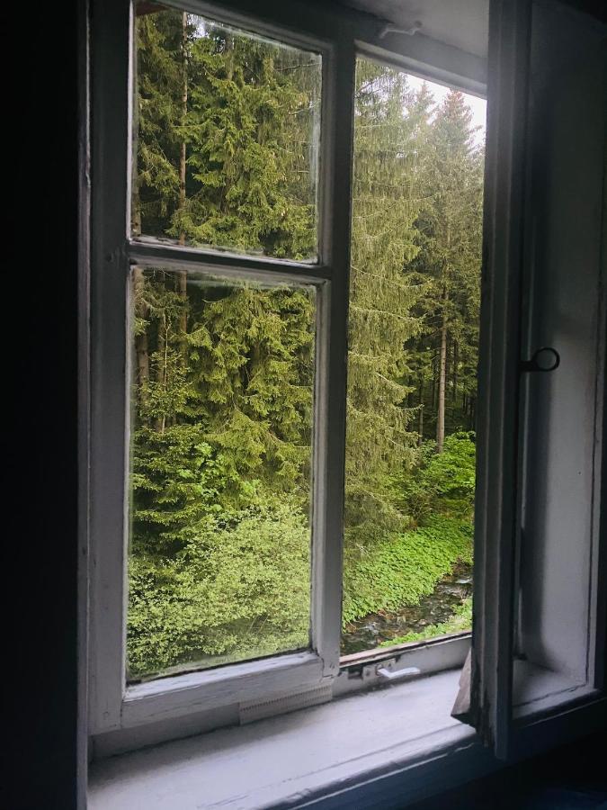 Penzion Lesni Zatisi- Harrachov Luaran gambar