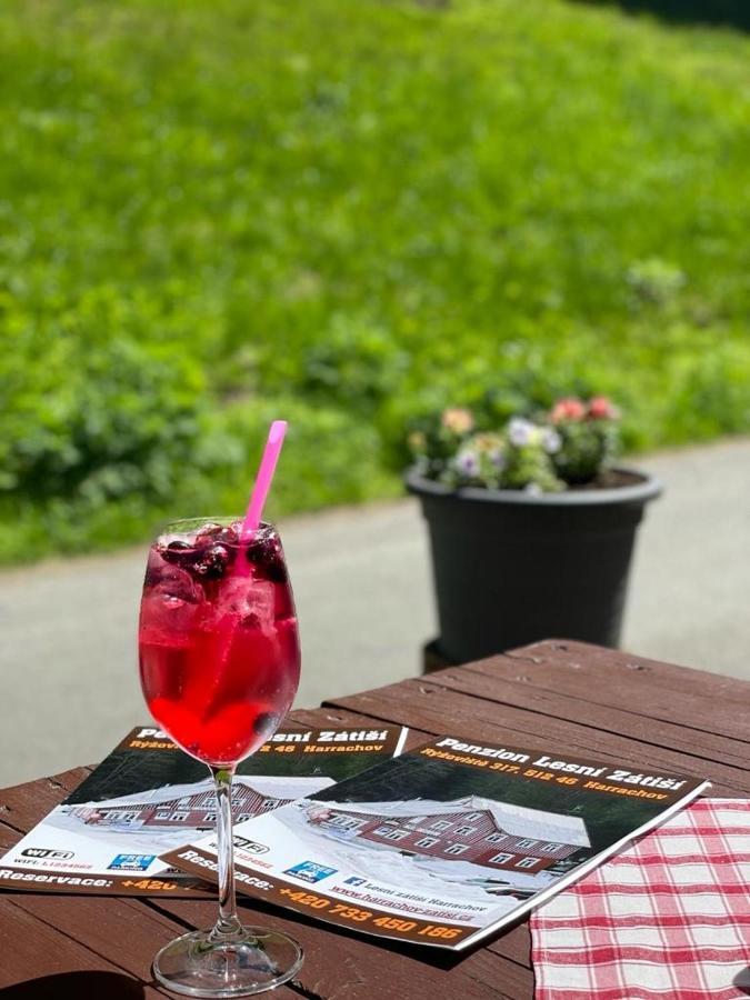 Penzion Lesni Zatisi- Harrachov Luaran gambar