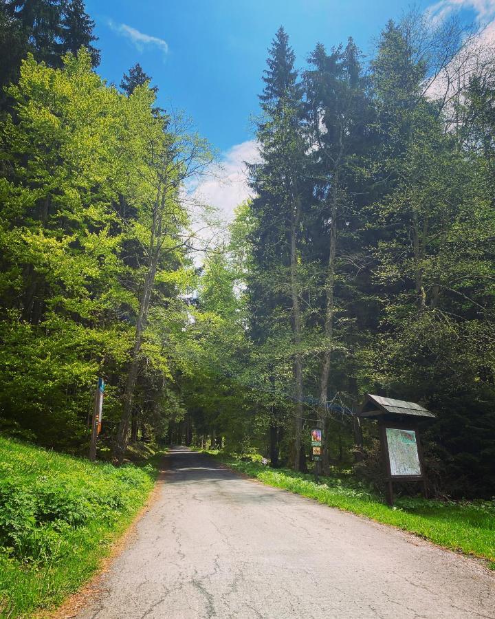 Penzion Lesni Zatisi- Harrachov Luaran gambar