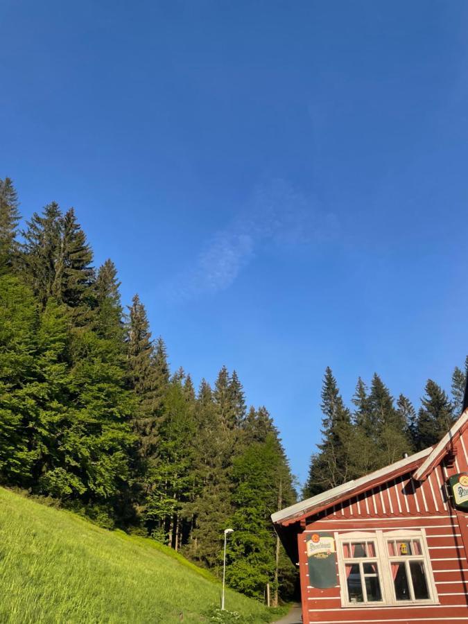 Penzion Lesni Zatisi- Harrachov Luaran gambar