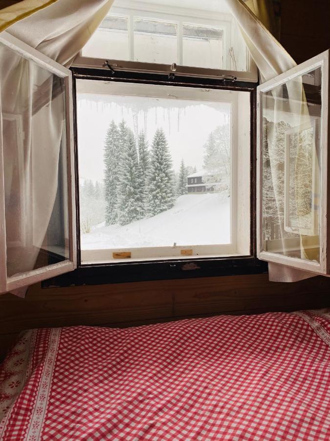 Penzion Lesni Zatisi- Harrachov Luaran gambar